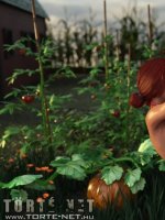 A farmerlány álma - Erotikus képregény - 37. oldal