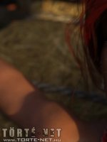 A farmerlány álma - Erotikus képregény - 41. oldal