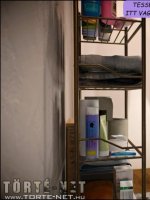 Problémás utód - Erotikus képregény - 55. oldal