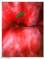 A forrás szelleme - Erotikus képregény - 90. oldal