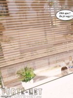 Bakancslista 9. rész - Erotikus képregény - 64. oldal