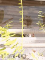 Bakancslista 9. rész - Erotikus képregény - 81. oldal