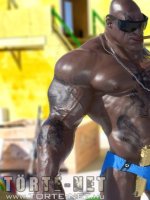 Brazíliai utazás vagy csapda - Erotikus képregény - 14. oldal