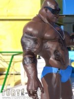 Brazíliai utazás vagy csapda - Erotikus képregény - 15. oldal