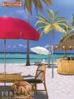 Bakancslista 10. rész - Erotikus képregény - 61. oldal