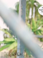 Bakancslista 12. rész - Erotikus képregény - 29. oldal