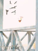 Bakancslista 12. rész - Erotikus képregény - 35. oldal