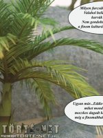 Bakancslista 12. rész - Erotikus képregény - 71. oldal