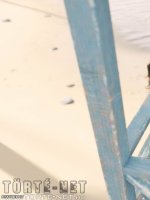 Bakancslista 12. rész - Erotikus képregény - 73. oldal