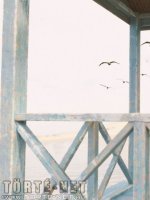 Bakancslista 12. rész - Erotikus képregény - 79. oldal