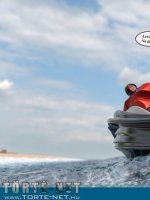 Tengerparti kaland - Erotikus képregény - 11. oldal