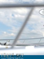 Tengerparti kaland - Erotikus képregény - 44. oldal