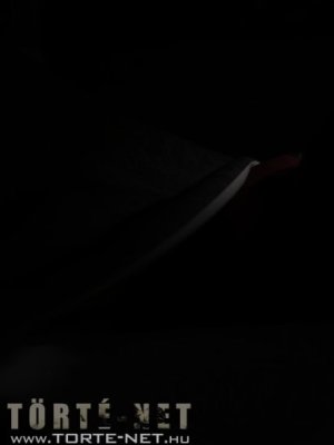 Dr. Sandra - Erotikus képregény