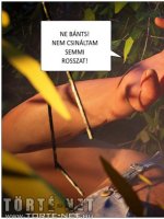 Tábori történet - Erotikus képregény