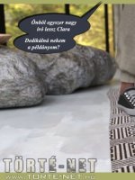 Ház az erdőben - Erotikus képregény - 12. oldal