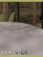 Ház az erdőben - Erotikus képregény - 19. oldal