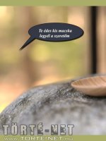 Ház az erdőben - Erotikus képregény - 29. oldal