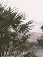 Bakancslista 15. rész - Erotikus képregény - 31. oldal