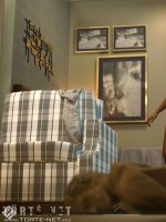 A vámpír támadása - Erotikus képregény - 17. oldal