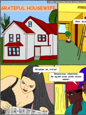 A hálás háziasszony - Erotikus képregény