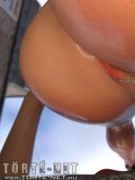 Anya szülinapi ajándéka 18 éves fiának - Erotikus képregény - 93. oldal