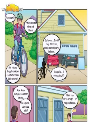 A betörő - Erotikus képregény