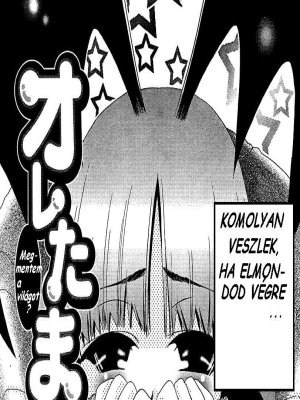 A tökömet 3. rész - Erotikus képregény