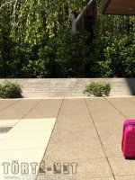 Hétvége a nagyiékkal 1. rész - Erotikus képregény - 8. oldal