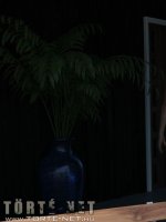 Hétvége a nagyiékkal 1. rész - Erotikus képregény - 35. oldal