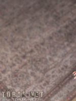 Karácsonyi misszió következményei - Erotikus képregény - 13. oldal