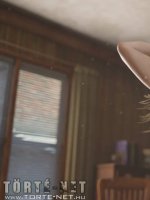 Egy üzletasszony kalandjai 5. rész - Erotikus képregény - 41. oldal