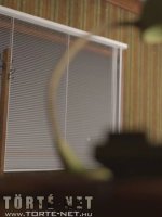 Egy üzletasszony kalandjai 5. rész - Erotikus képregény - 43. oldal