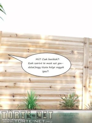 Impulzus 1. rész - Erotikus képregény