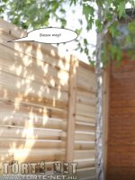 Impulzus 1. rész - Erotikus képregény - 9. oldal