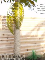 Impulzus 2. rész - Erotikus képregény - 14. oldal