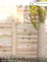 Impulzus 2. rész - Erotikus képregény - 39. oldal