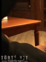 Egy titkárnő különös kalandjai 1. rész - Erotikus képregény - 28. oldal