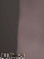 Egy titkárnő különös kalandjai 8. rész - Erotikus képregény - 32. oldal