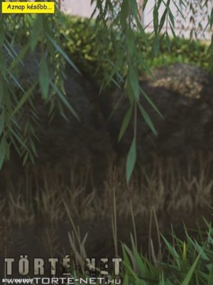 Örök nyár 6. rész - Erotikus képregény