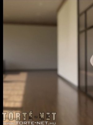 Egy titkárnő különös kalandjai 3. rész - Erotikus képregény