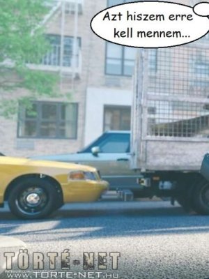 Sikátor 1. rész - Erotikus képregény - 1. oldal