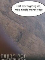 Sikátor 1. rész - Erotikus képregény - 59. oldal