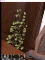 Egy titkárnő különös kalandjai 6. rész - Erotikus képregény - 6. oldal