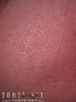 Lana kalandjai 3. rész - Erotikus képregény - 38. oldal