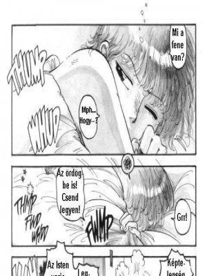 Ikrek - Erotikus képregény