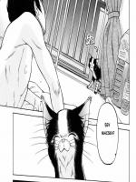 Csoda cica - Erotikus képregény - 7. oldal