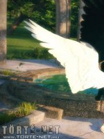 Pokoli Szerelem - Erotikus képregény - 23. oldal