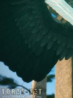 Pokoli Szerelem - Erotikus képregény - 45. oldal