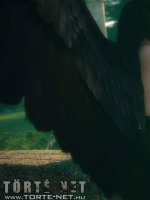 Pokoli Szerelem - Erotikus képregény - 64. oldal