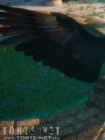 Pokoli Szerelem - Erotikus képregény - 73. oldal